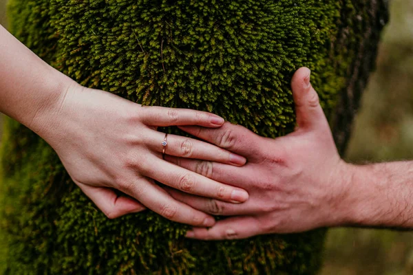 Bride Groom Hand — Stockfoto