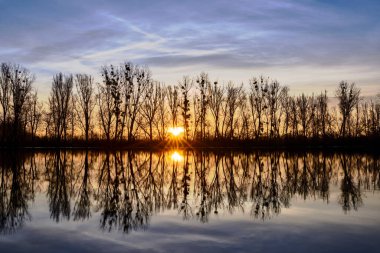 Güzel bir gün batımı. Sabahları gölün kıyısında ağaçların yansımaları.