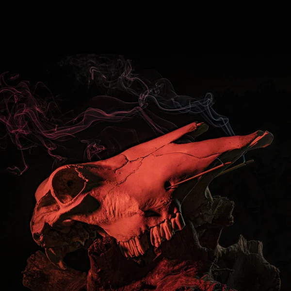 Rendering Red Black Alien Skull Dark Background — Stock Fotó