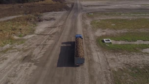 Рух вантажівки з причепом, наповненим цукровими буряками . — стокове відео
