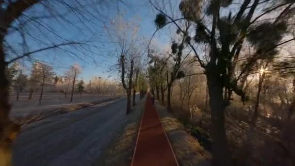 Утренняя пробежка человека в парке. Вокруг дерева в инею. — стоковое видео
