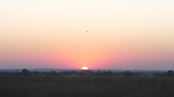 Ukrainisches Kampfflugzeug fliegt in der westlichen Sonne am Himmel. — Stockvideo