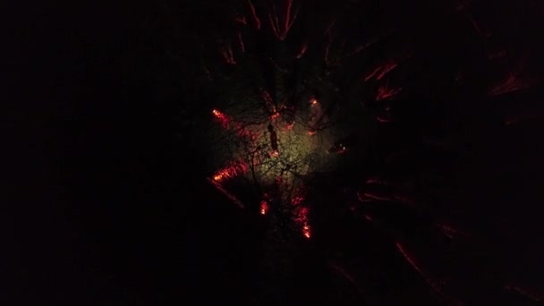 Homme seul debout dans la forêt nocturne parmi les arbres. — Video