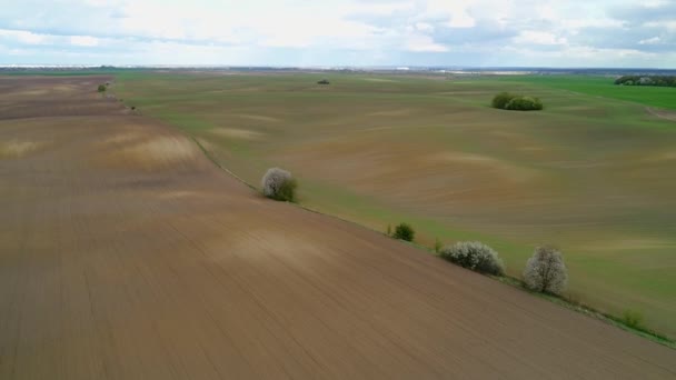 Flight along the sown spring Ukrainian fields. — Vídeos de Stock