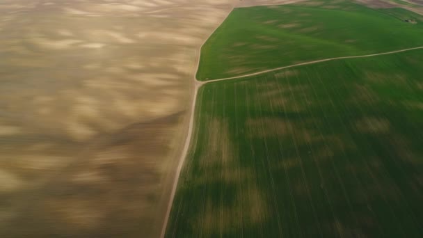 Ukrainian sown spring fields of brown and green. On the left with small plants, on the right with wheat. Aerial view. — стоковое видео