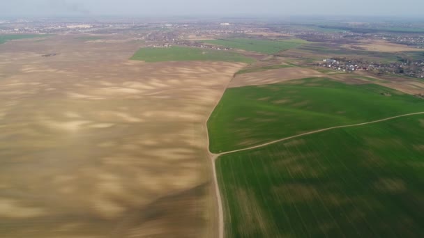 Ukrainian sown spring fields of brown and green. On the left with small plants, on the right with wheat. — стоковое видео