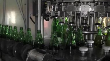 Şeffaf cam şişeler taşıyıcıda hareket ediyor. Birayla dolup taşın. Bira üretiminin otomasyonu.