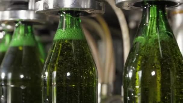 Produkcja Butelkowanie Napojów Gazowana Lemoniada Soda Lub Piwo Szklanych Butelek — Wideo stockowe
