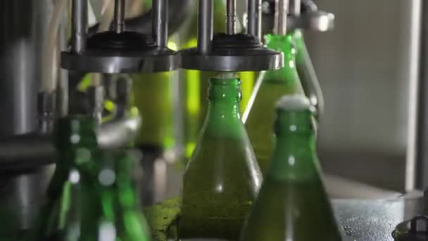 Производство Розлив Напитков Газированным Пивом Стеклянные Бутылки Автоматическом Транспортере Промышленном — стоковое видео