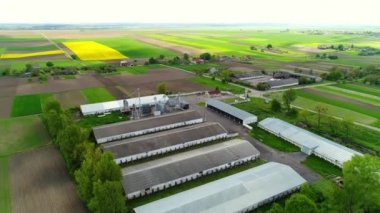 Köyün ve tarlaların ortasında ineklerin olduğu büyük bir çiftliğin havadan görünüşü. Güneşli bir günde binalara ve asansöre yaklaşıyoruz..