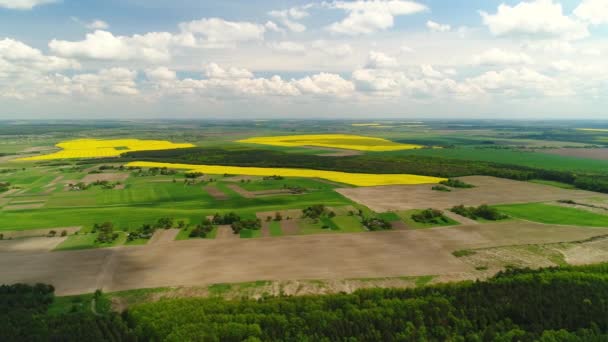 Vuelo Sobre Los Paisajes Los Campos Bosques Ucranianos Tierras Agrícolas — Vídeo de stock