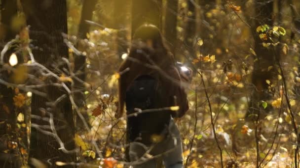 バックパック付きの長髪の若い女性写真家が太陽の下で秋の森の中を歩き 写真を撮ります 少女は背を向けて — ストック動画