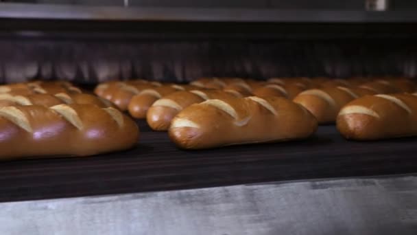 Automated Output Finished Bread Oven His Further Movement — Video