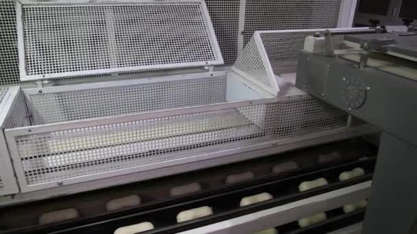 Automated Conveyor Feeding Shelves Dough Baking Bread Bakery Bakery Factory — Wideo stockowe