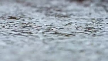 Close-up of raindrops falling into a puddle in slow motion during a downpour. Focusing attention comes to the fore. Seamless background of bubbles and water.