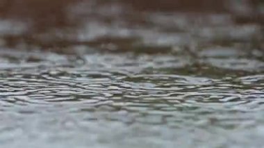 Small raindrops close-up in real time falling into a rain puddle. Uniform background.