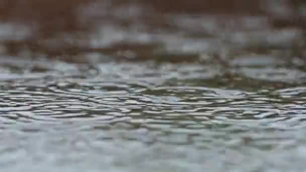 Small Raindrops Close Real Time Falling Rain Puddle Uniform Background — 图库视频影像