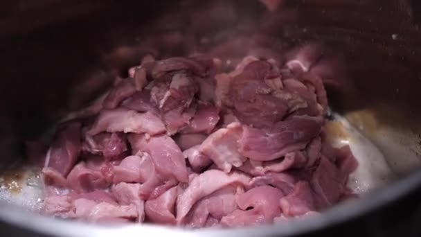 Pieces Fresh Pork Added Melted Lard Pan Made Stainless Material — Stock Video