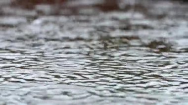 Single drops of slow rain. Water falling into a puddle in slow motion. Circular waves on water.