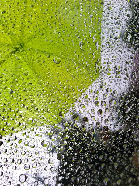 Viele Regentropfen Auf Dem Glas Ein Grüner Regenschirm Ist Der — Stockfoto