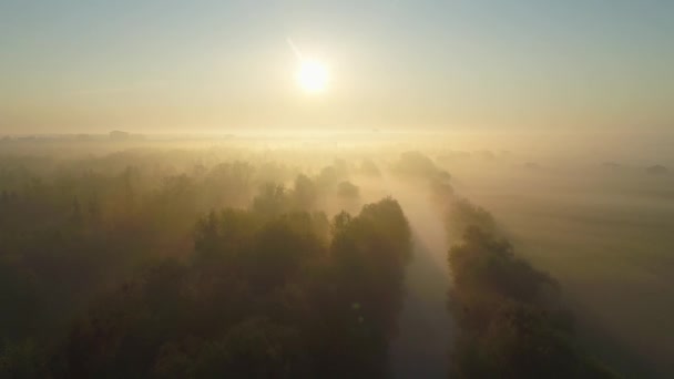 Niebla Matutina Sobre Río Con Parque Vuelo Amanecer Siluetas Ciudad — Vídeos de Stock