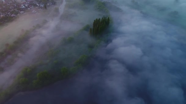 Mattina Fitta Nebbia Sul Fiume Con Parco Lontananza Bordo Della — Video Stock