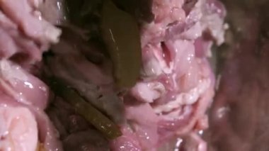Dikey video. Siyah eldivenli bir aşçı taze domuz parçaları karıştırır ve erimiş domuz yağını paslanmaz çelik bir tavada bir kaşıkla karıştırır. Kamerayı kapat. Hareket etmiyor..