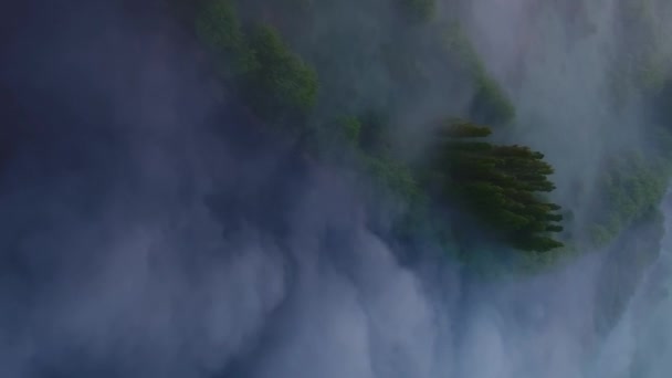 Вертикальное Видео Утренний Густой Туман Над Рекой Парком Вдалеке Находится — стоковое видео