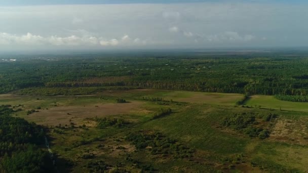 Klíče Jeřábů Létají Podzim Modré Obloze Pozadí Lesů Polí Ukrajiny — Stock video
