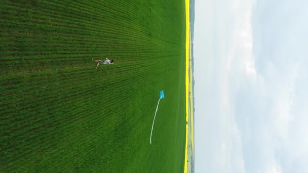 垂直ビデオ その少年は小麦の作物で畑を走っている 彼は凧を持っている 黄色の青 彼の後ろに飛んで 空中風景 — ストック動画