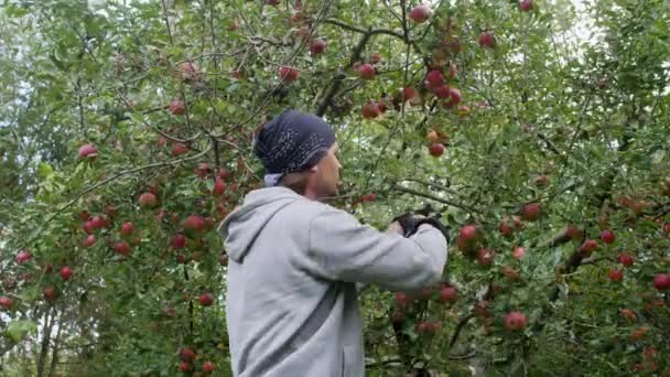 Ein Junger Mann Mit Dunklem Kopftuch Und Grauem Mantel Pflückt — Stockvideo