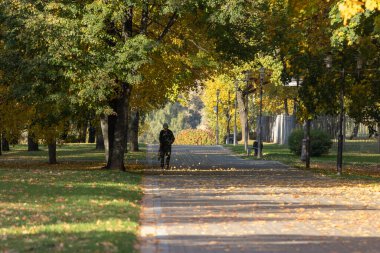 İşçi parktaki yaprakları temizlemek için hava üfleyici kullanıyor. Sonbaharda bir şehir caddesinde düşen yaprakları temizlemek..