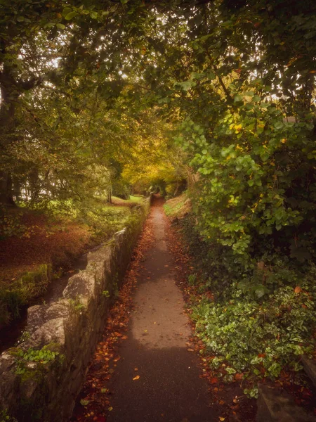 Scena Autunnale Percorso Lungo Ruscello Mentre Foglie Cambiano Autunno — Foto Stock