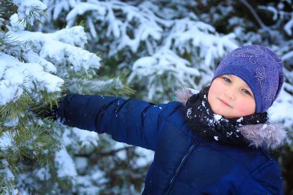 Девочка играет со снегом в зимнем лесу, яркие снежные ели, красивая природа Лицензионные Стоковые Фото