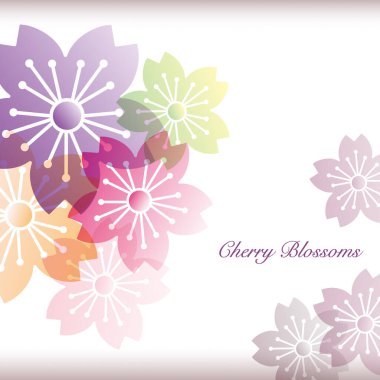 Kiraz çiçeği siluetinin arka planı