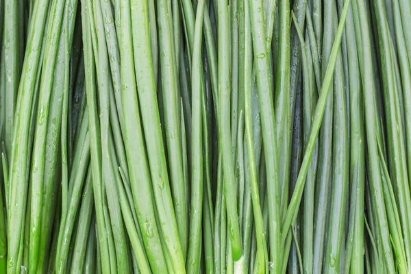 Zelená Cibule Pozadí Potravin — Stock fotografie