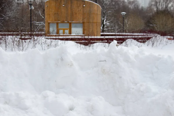 Москва, Россия, снежный зимний день в парке "Сад будущего" — стоковое фото