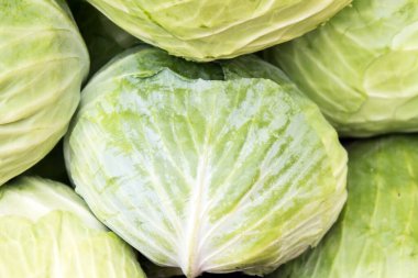 Beyaz lahana kafalar satılık tezgahın üstünde.