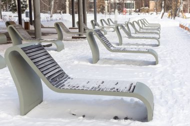Rusya, Moskova, VDNH 'deki peyzaj parkı. Kış görünümü.