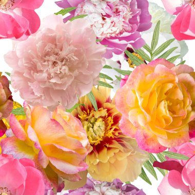 Beyaz arka planda farklı çiçekleri olan pürüzsüz desenler