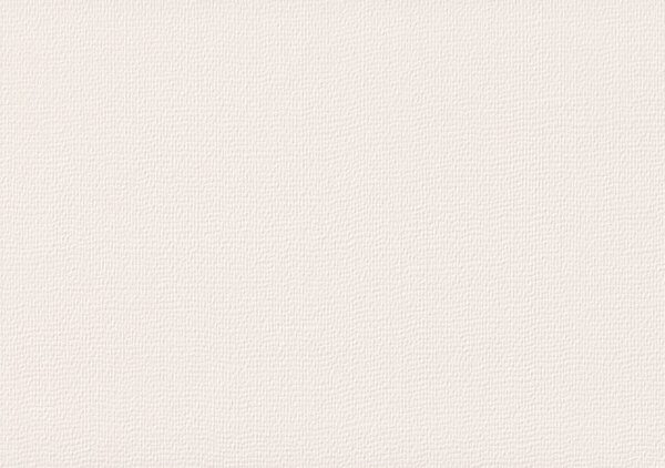 Прямоугольный белый акварельный бумажный фон с грубой текстурой. Бланк задней крышки с пространством для копирования текста. Толстая крупнозернистая бумага, имитирующая холст для создания художественного, живописи, рисунка