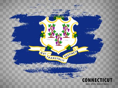 Fırça darbelerinden Connecticut Eyaleti bayrağı. Amerika Birleşik Devletleri. Connecticut bayrak eyaleti internet sitesi tasarımı, uygulaması, UI için şeffaf arkaplan üzerine başlık. ABD. Vektör çizimi. EPS10.