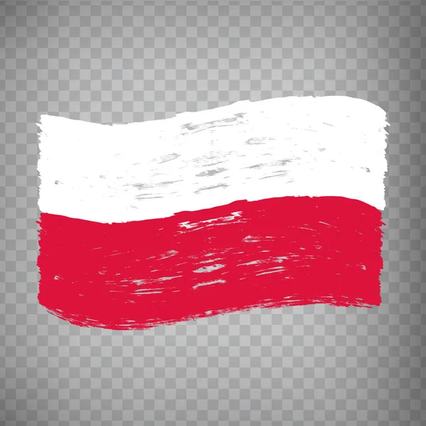 Drapeau République Pologne Fond Coup Pinceau Waving Flag Poland Tranparent — Image vectorielle