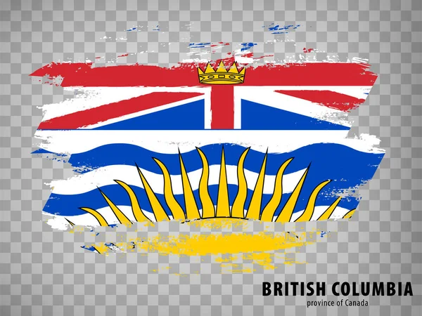 Drapeau Colombie Britannique Provenant Coups Pinceau Canada Drapeau Province Colombie — Image vectorielle