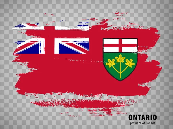 Ontariova Vlajka Tahů Štětcem Kanada Provincie Ontario Vlajky Titulem Průhledném — Stockový vektor