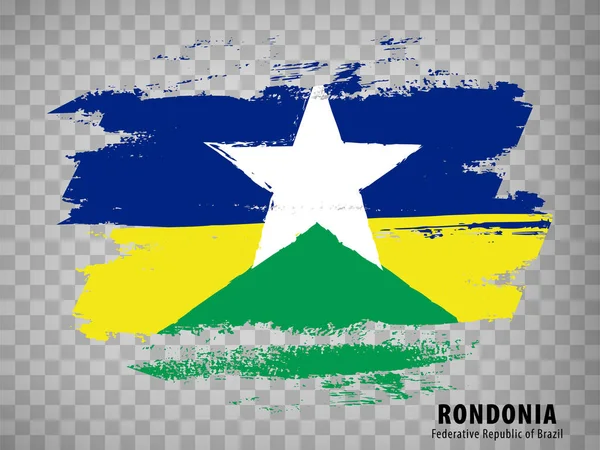 Flag State Rondonia Brush Strokes Federal Republic Brazil Flag Rondonia — Stockvektor