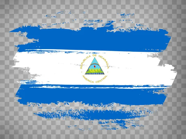 Flag Nicaragua Brush Stroke Background Flag Republic Nicaragua Tranparent Backrgound — Stockvector