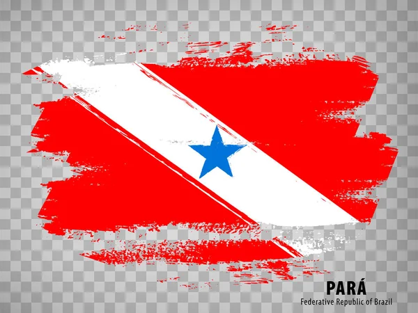 Flag State Para Brush Strokes Federal Republic Brazil Flag Para — Image vectorielle