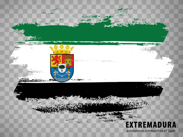 Flag Extremadura Brush Strokes Flag Autonomous Community Extremadura Transparent Background — стоковый вектор