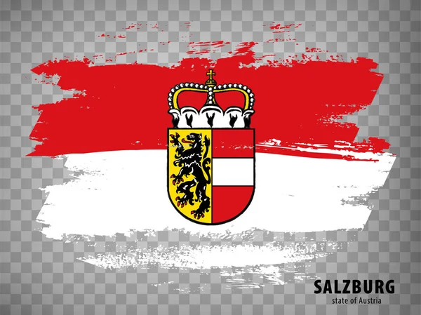 Bandeira Pinceladas Salzburgo Bandeira Salzburgo Fundo Transparente Para Design Seu — Vetor de Stock